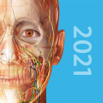 human-anatomy-atlas-2021-complete-3d-human-body.png